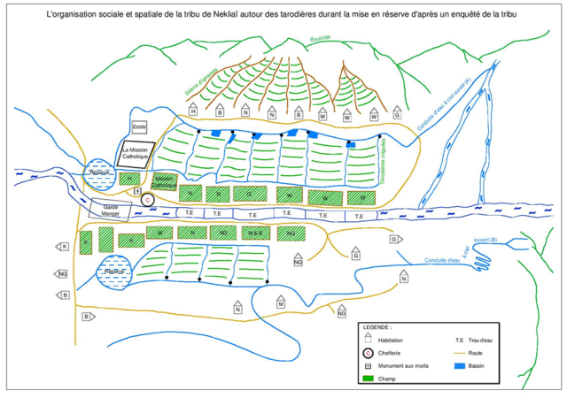 Organisation sociale et spatiale Nekliai autour des tarodieres