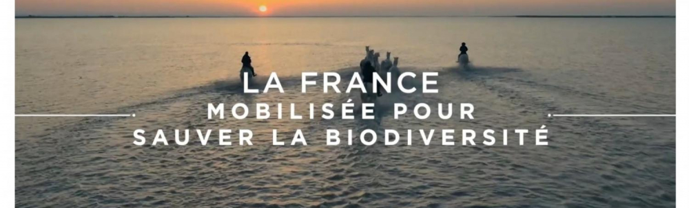 Stratégie nationale pour la biodiversité