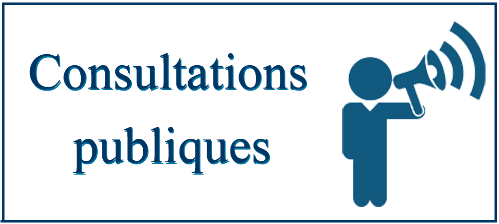 Logo Consultation Publique