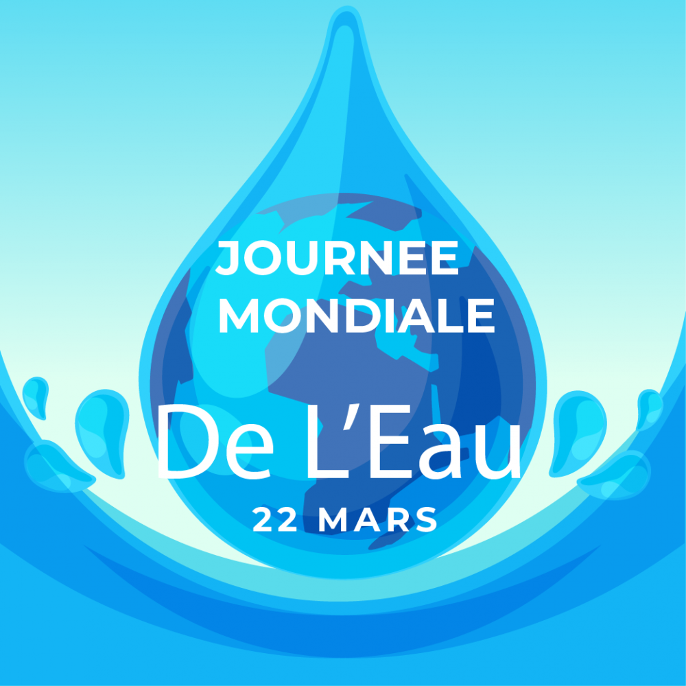 Journée mondiale de l'eau