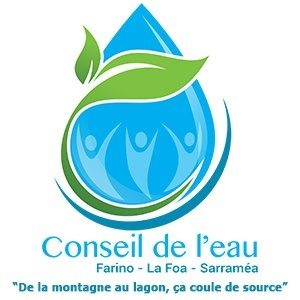Logo conseil Eau