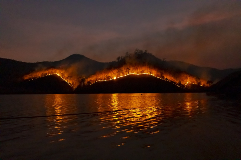 Feu de forêt