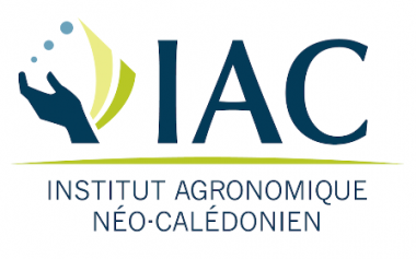 Logo IAC