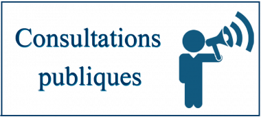 Consultations publiques