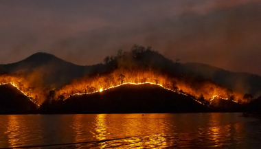 Feu de forêt