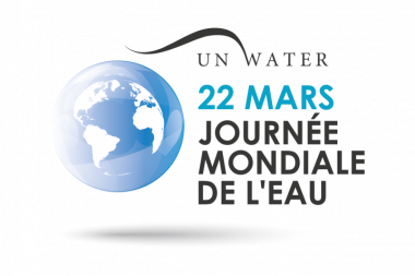 Journee mondiale de l'eau